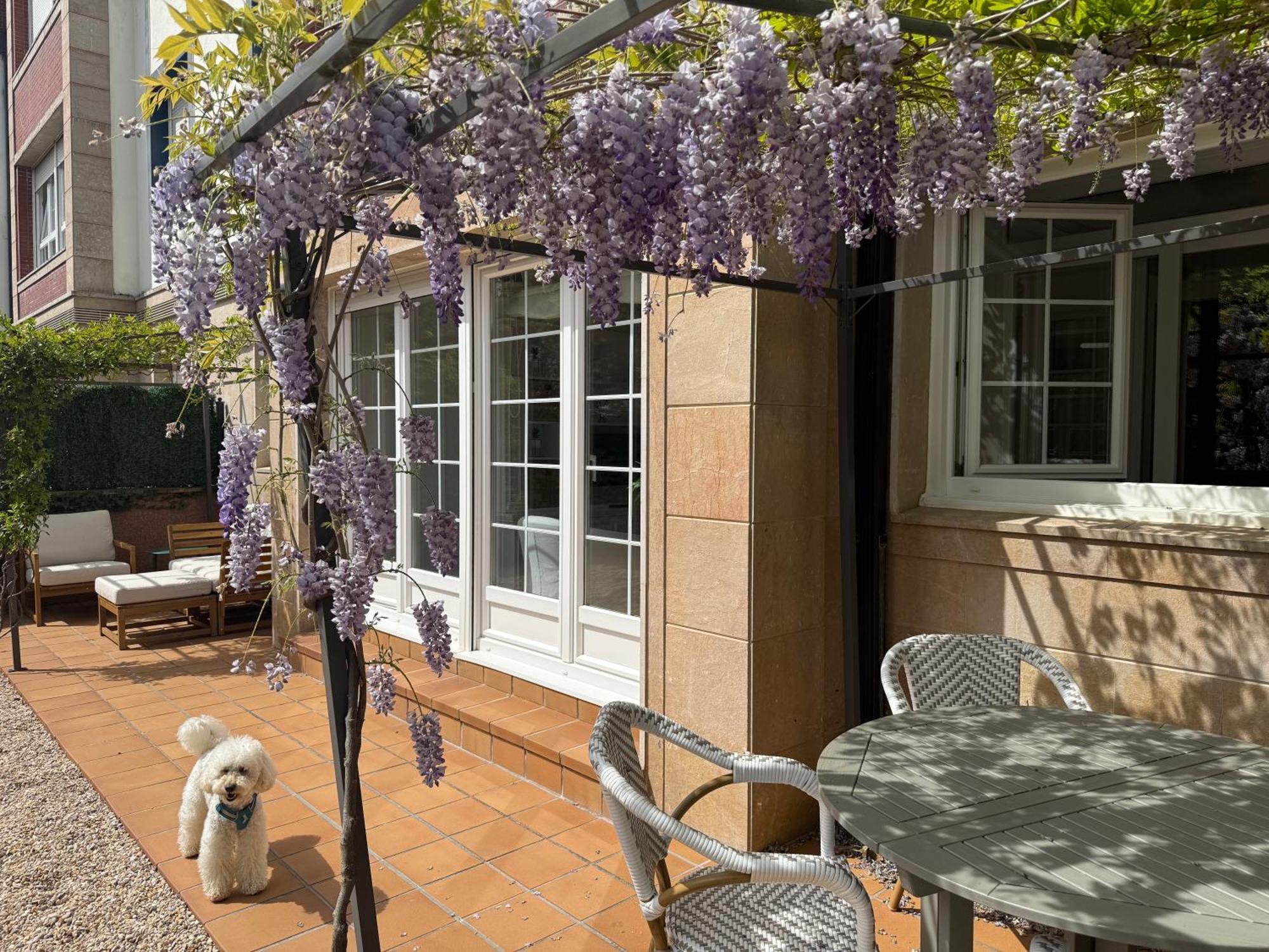 Bakea Apto Con Jardin Privado Bakio Exterior foto